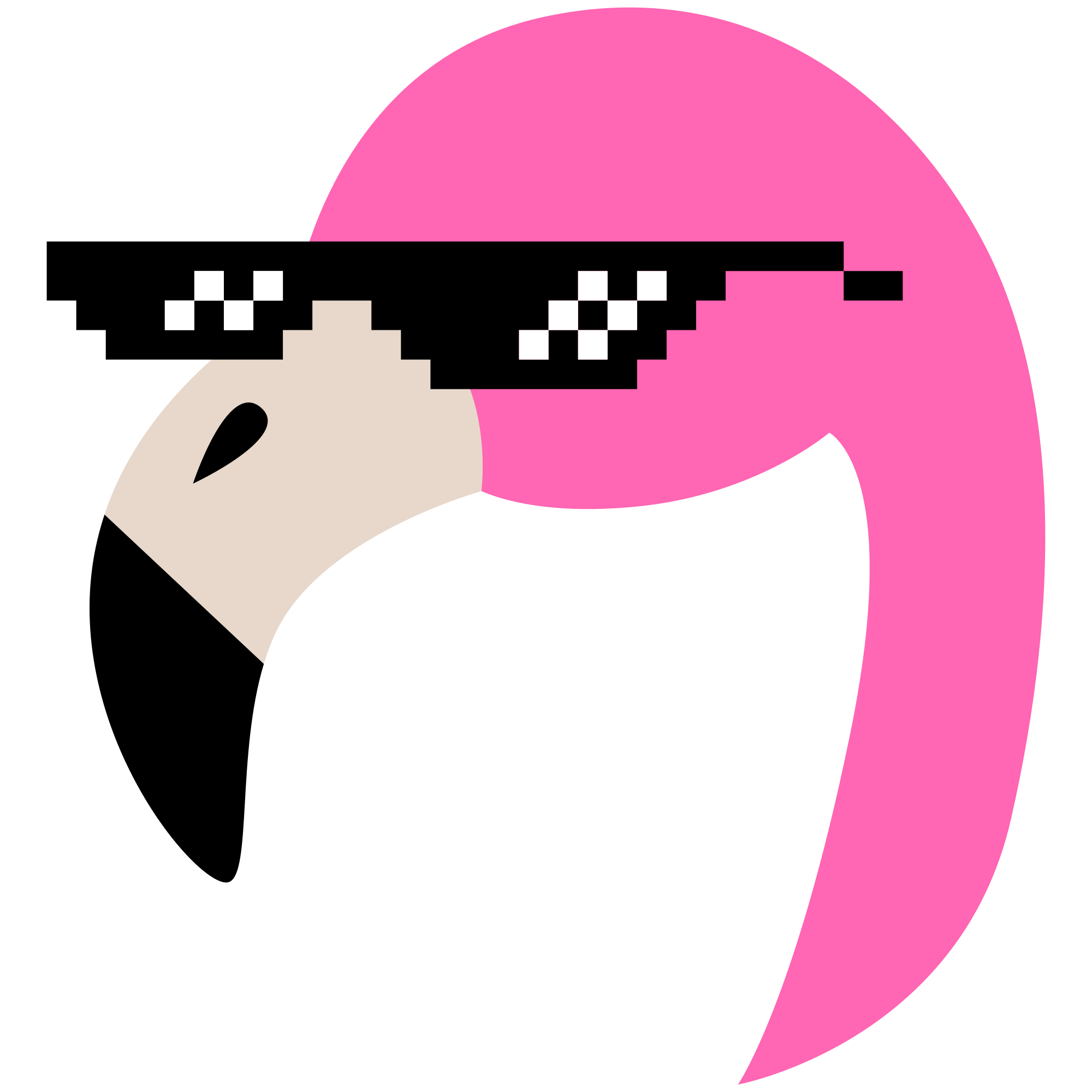 Philip's Sunglasses
